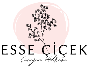 ESSE ÇİÇEK