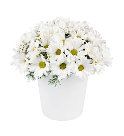 Beyaz Seramik Vazoda Papatyalar