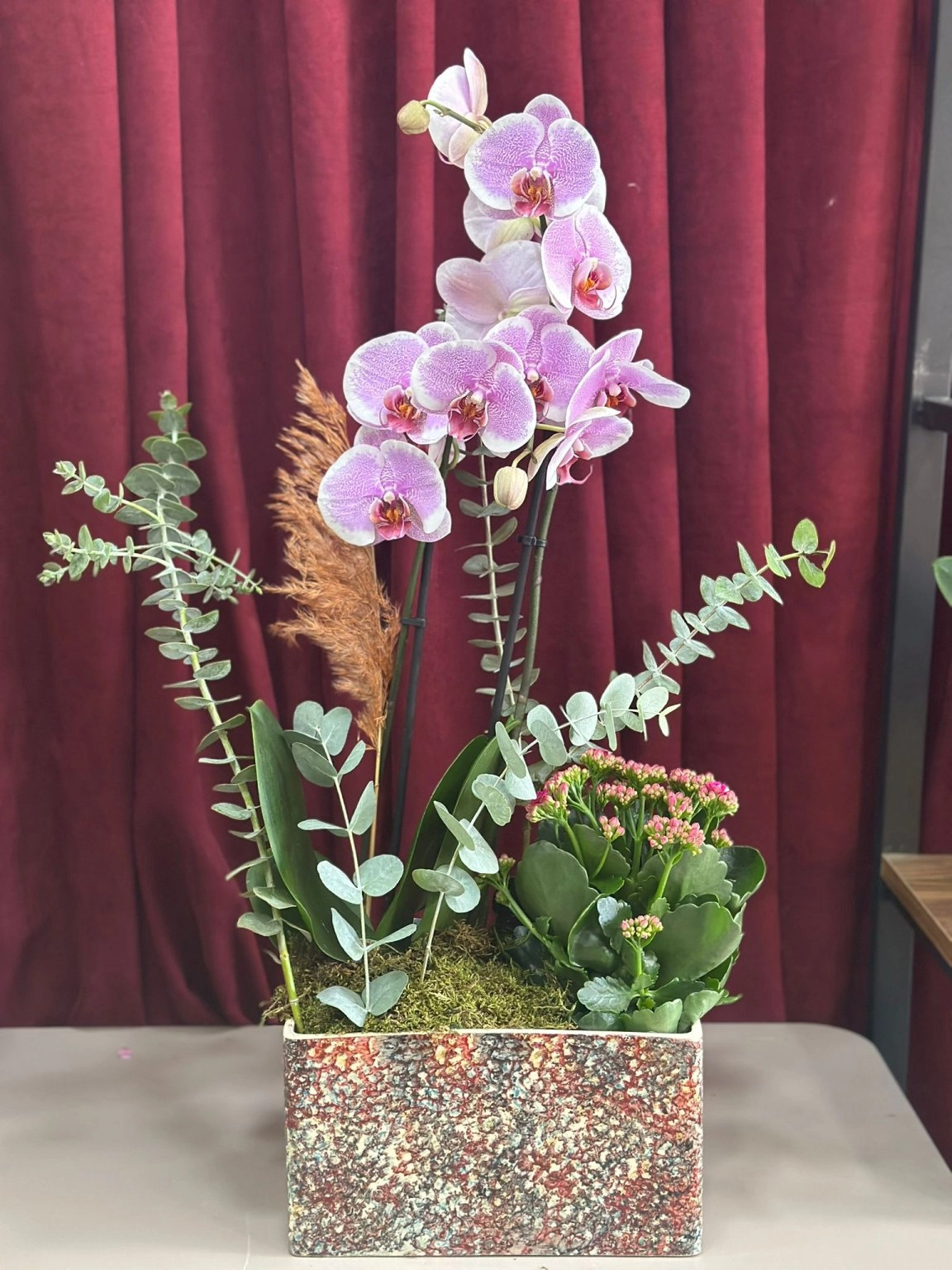 Pembe Orkide Ve Kalanchoe Aranjmanı